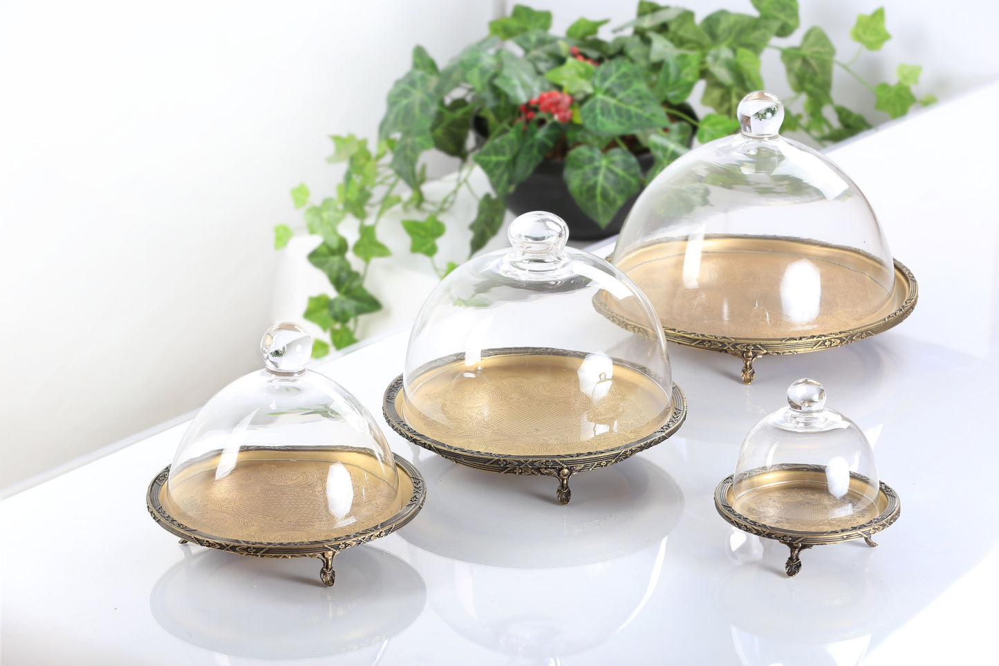 Silver Round Cake Stand with Glass Dome | Footed Dessert Serving Tray