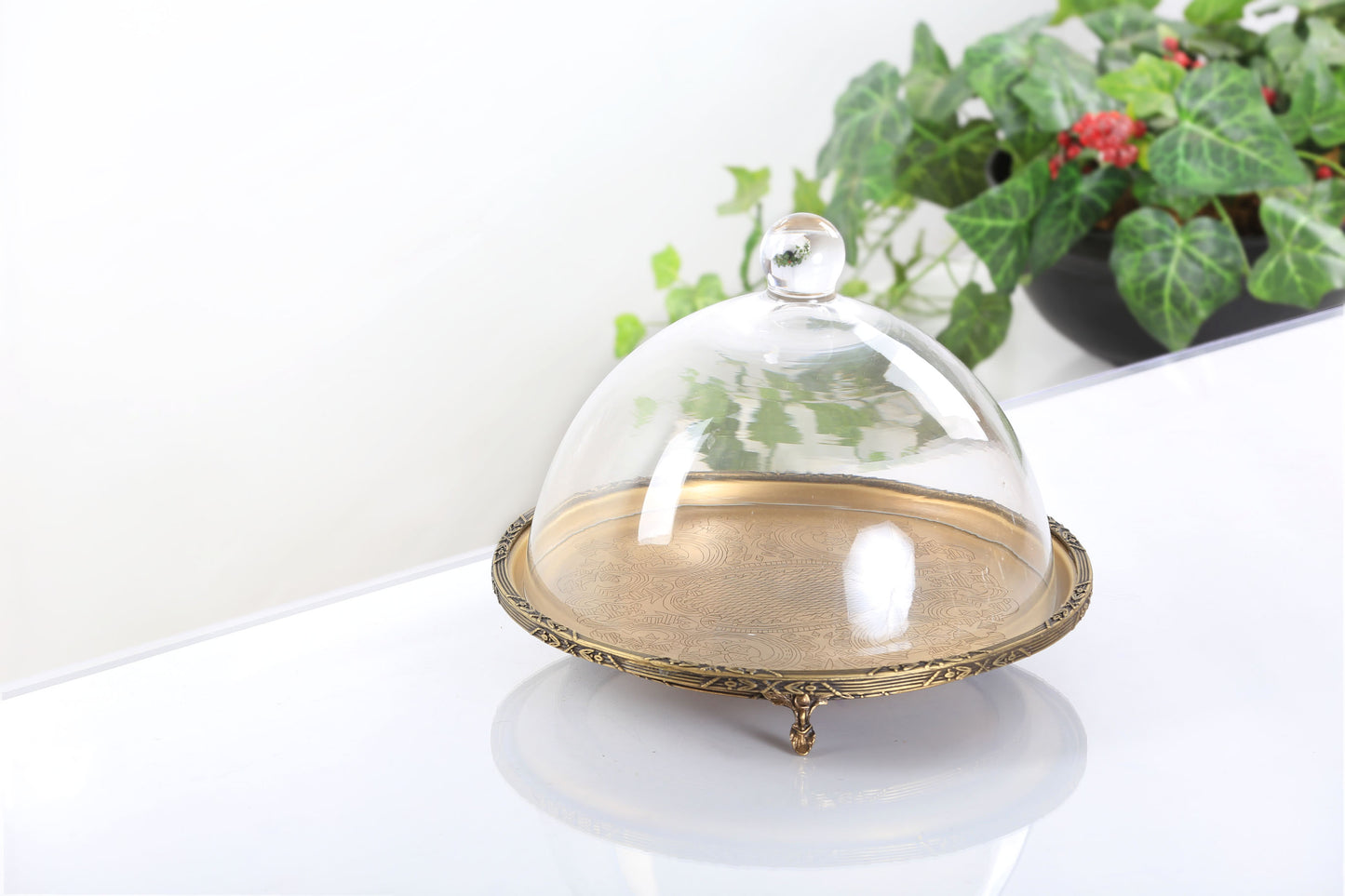 Silver Round Cake Stand with Glass Dome | Footed Dessert Serving Tray