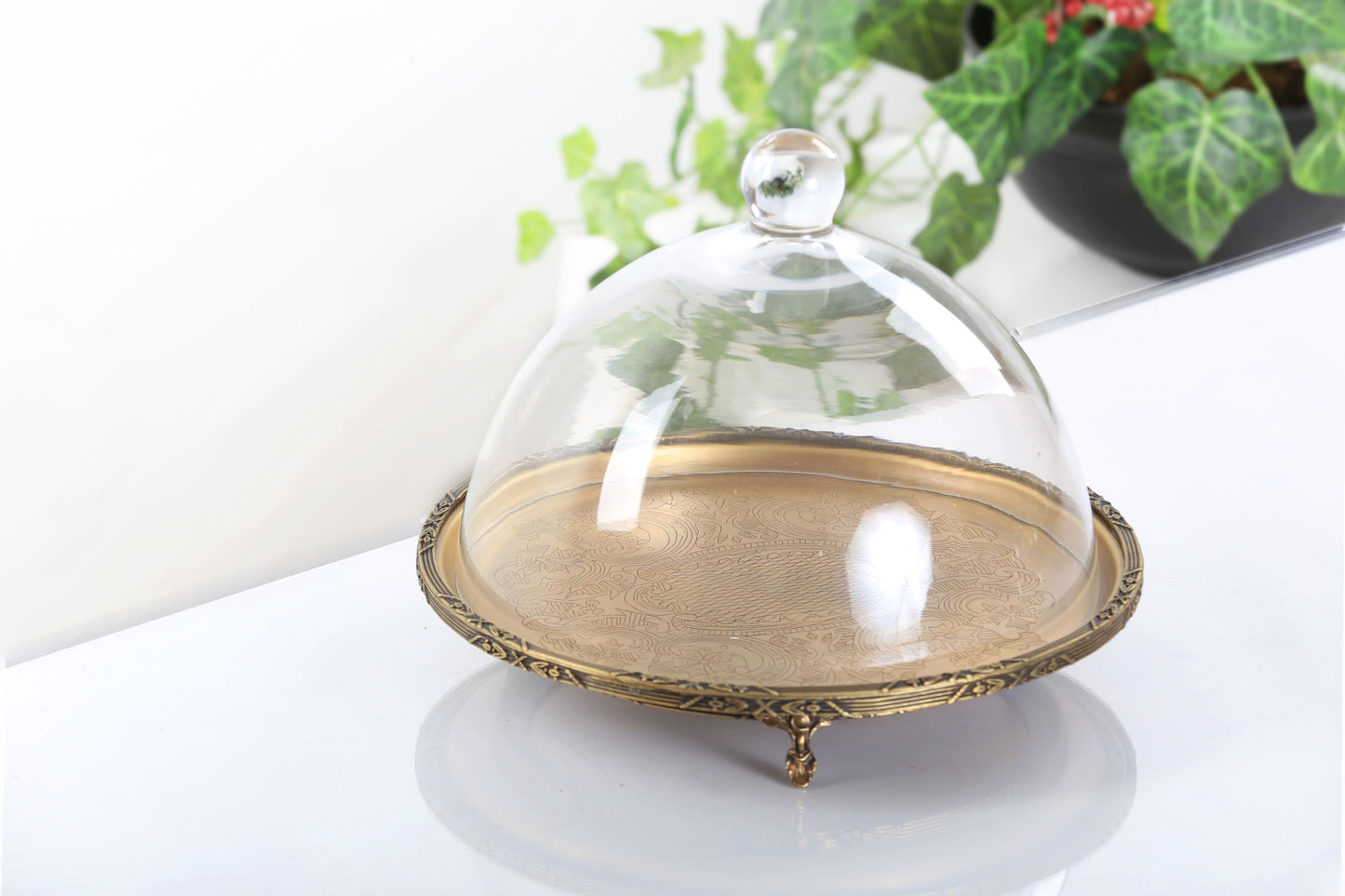 Silver Round Cake Stand with Glass Dome | Footed Dessert Serving Tray
