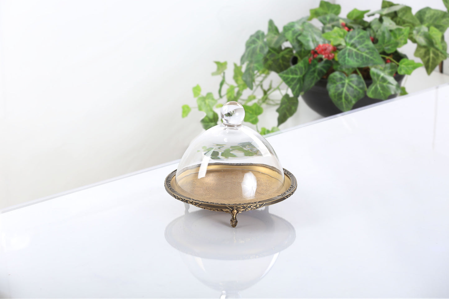 Silver Round Cake Stand with Glass Dome | Footed Dessert Serving Tray