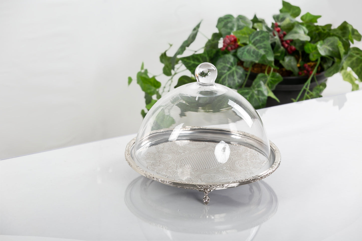 Silver Round Cake Stand with Glass Dome | Footed Dessert Serving Tray