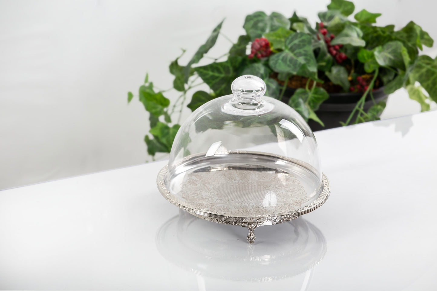 Silver Round Cake Stand with Glass Dome | Footed Dessert Serving Tray