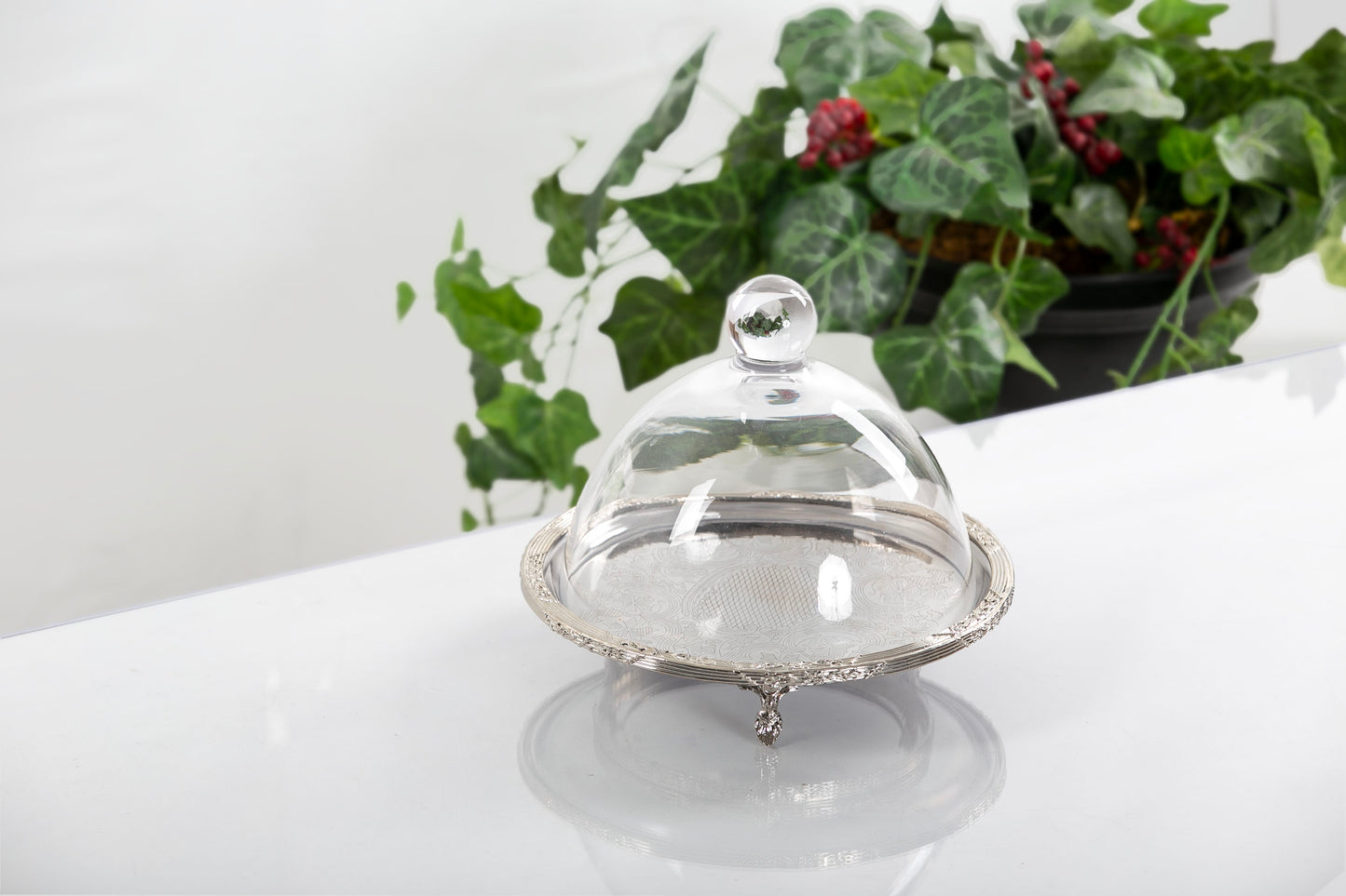 Silver Round Cake Stand with Glass Dome | Footed Dessert Serving Tray