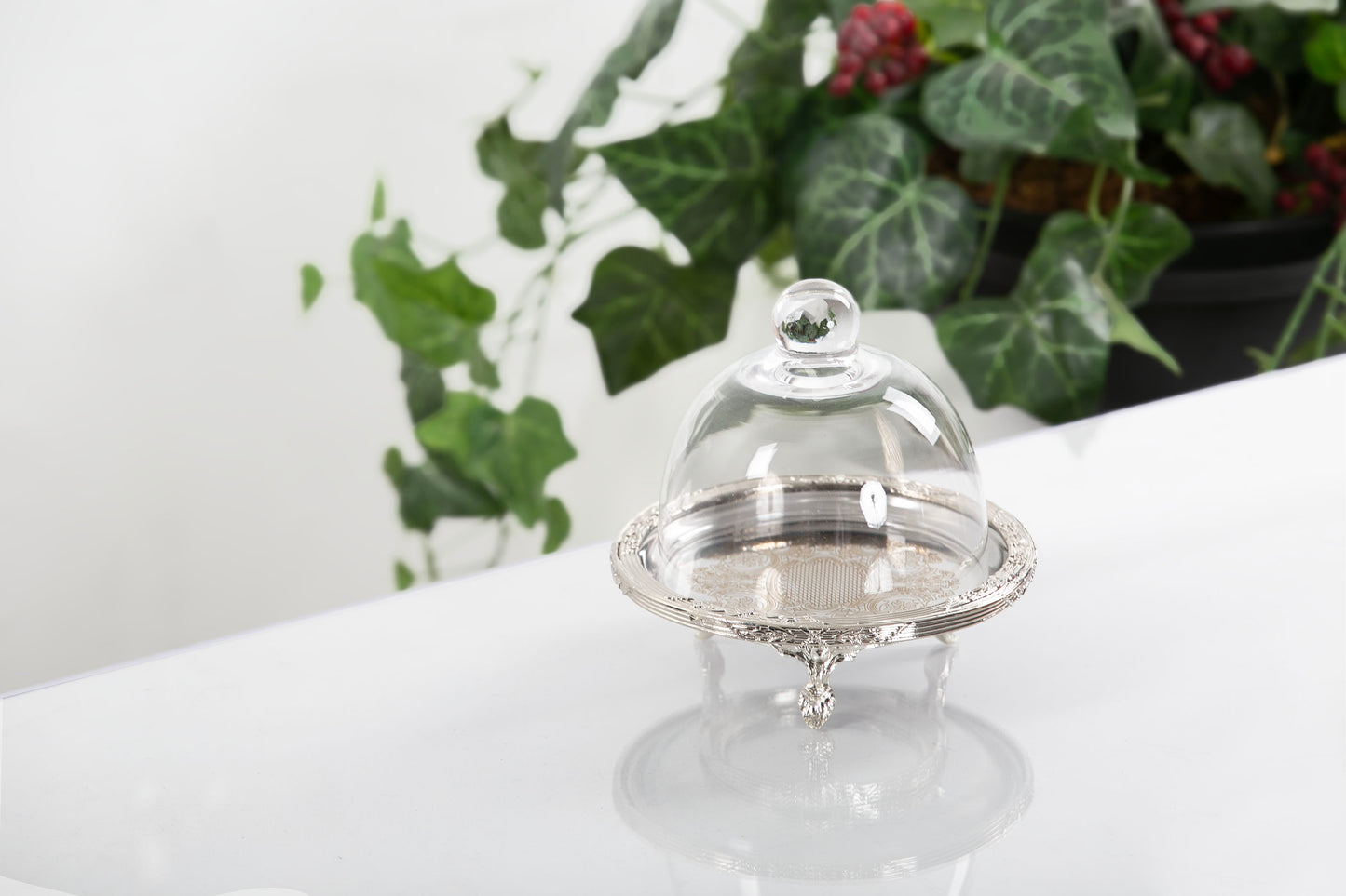 Silver Round Cake Stand with Glass Dome | Footed Dessert Serving Tray